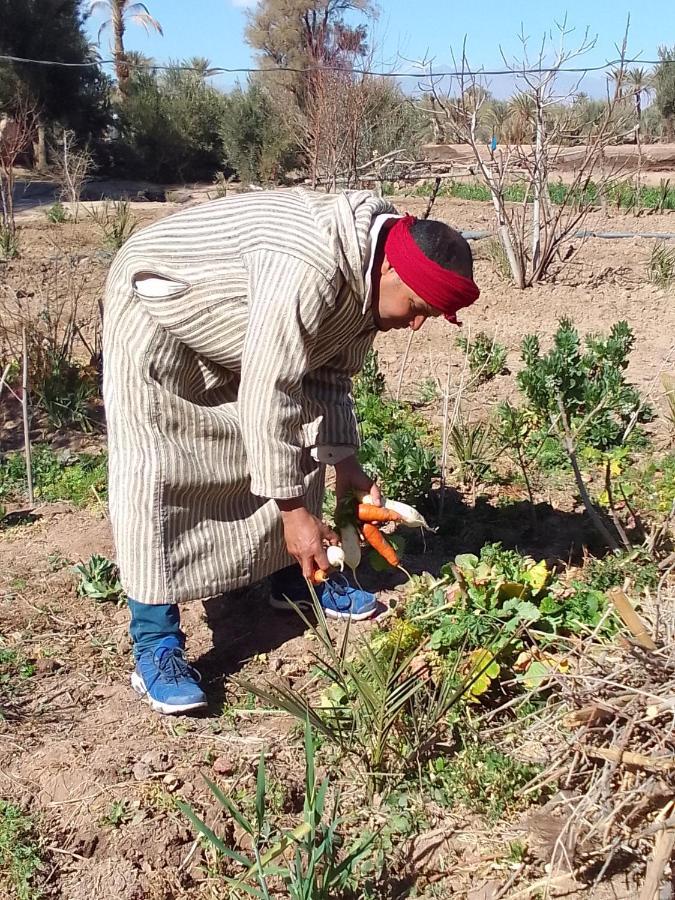 Отель Kasbah Dar Dmana Скура Экстерьер фото