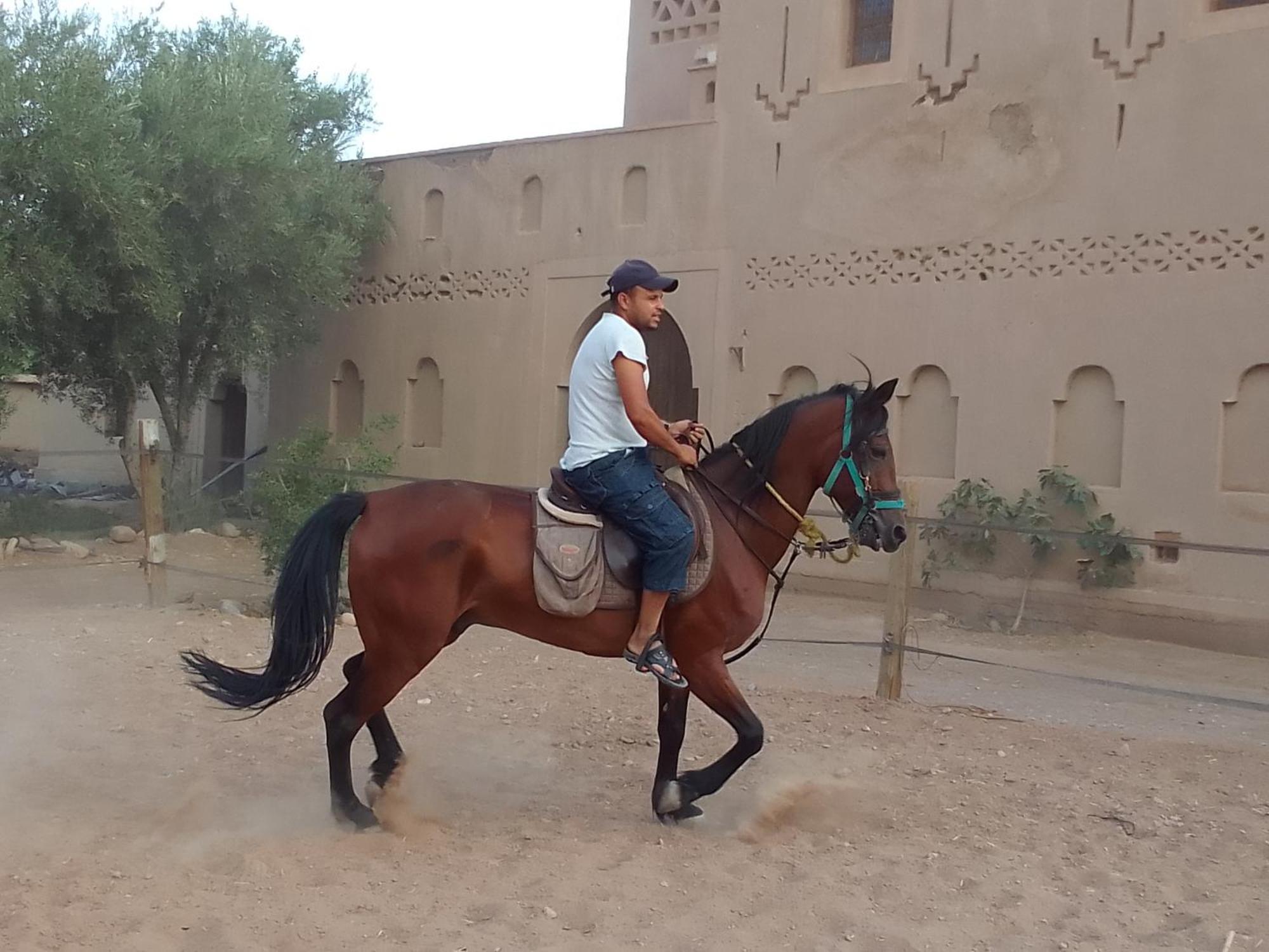 Отель Kasbah Dar Dmana Скура Экстерьер фото